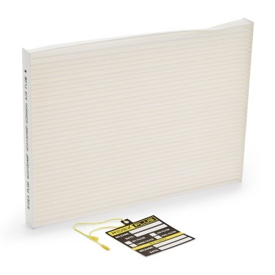 Filter, Innenraumluft RIDEX 424I0048P 424I0048P - foto 2