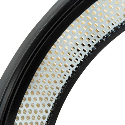 Luftfilter RIDEX 8A0598 8A0598 - foto 5