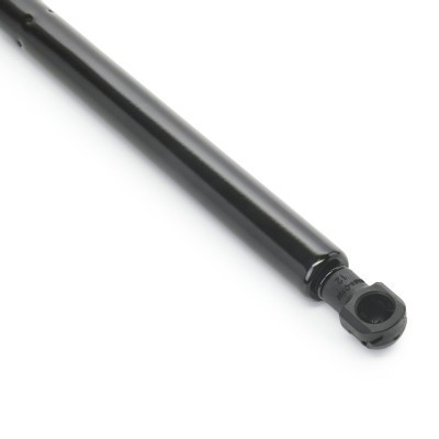 Gasfeder, Koffer-/Laderaum RIDEX 219G1218 219G1218 - foto 5