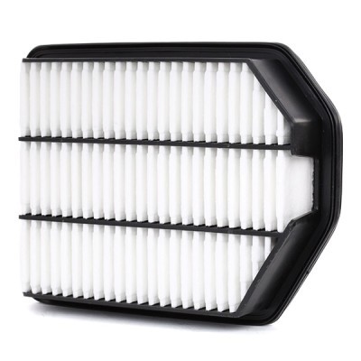 Luftfilter RIDEX 8A0355 8A0355 - foto 3