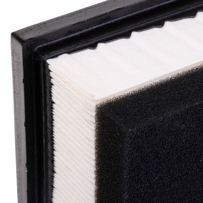 Luftfilter RIDEX 8A0282 8A0282 - foto 7