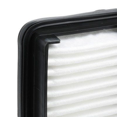 Luftfilter RIDEX 8A0244 8A0244 - foto 3