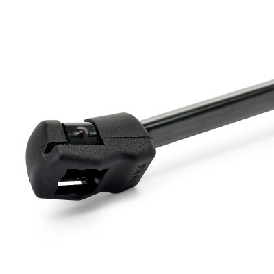 Gasfeder, Koffer-/Laderaum RIDEX 219G1550 219G1550 - foto 4
