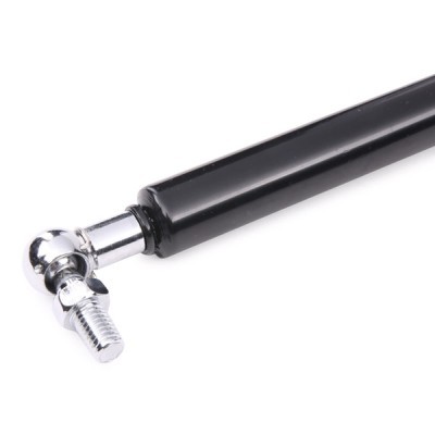 Gasfeder, Koffer-/Laderaum RIDEX 219G0489 219G0489 - foto 4