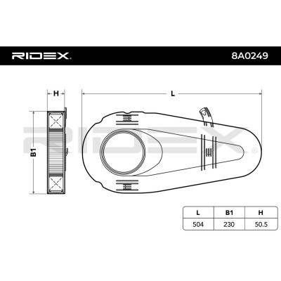 Luftfilter RIDEX 8A0249 8A0249 - foto 5