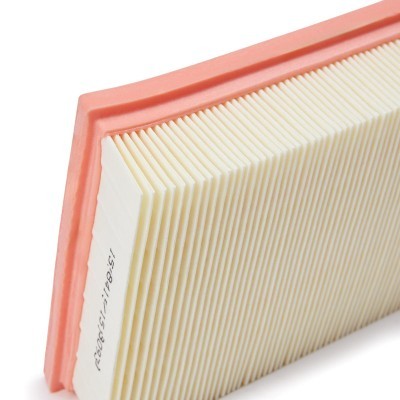 Luftfilter RIDEX 8A0854 8A0854 - foto 5