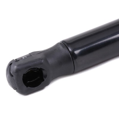 Gasfeder, Koffer-/Laderaum RIDEX 219G0890 219G0890 - foto 5