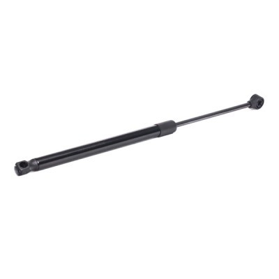 Gasfeder, Koffer-/Laderaum RIDEX 219G0925 219G0925 - foto 7