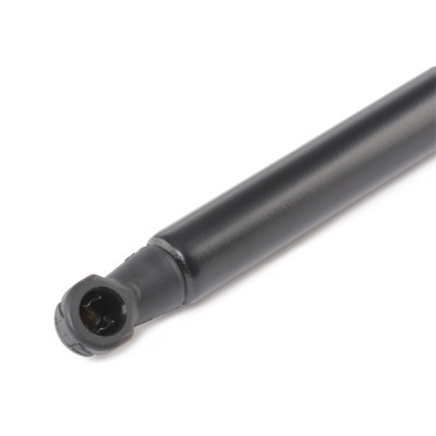 Gasfeder, Koffer-/Laderaum RIDEX 219G0910 219G0910 - foto 5
