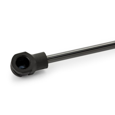 Gasfeder, Koffer-/Laderaum RIDEX 219G0714 219G0714 - foto 8