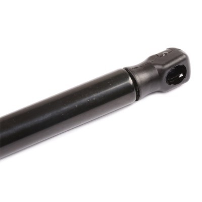Gasfeder, Koffer-/Laderaum RIDEX 219G0376 219G0376 - foto 5