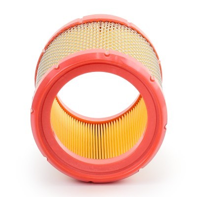 Luftfilter RIDEX 8A0106P 8A0106P - foto 5