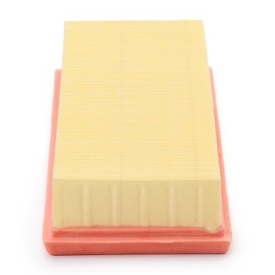 Luftfilter RIDEX 8A0054P 8A0054P - foto 5