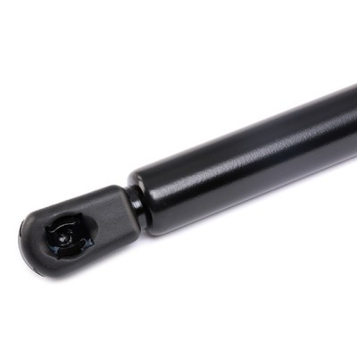 Gasfeder, Koffer-/Laderaum RIDEX 219G0598 219G0598 - foto 5