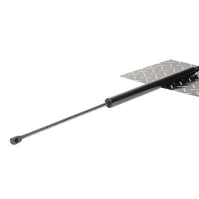Gasfeder, Koffer-/Laderaum RIDEX 219G0154 219G0154 - foto 2