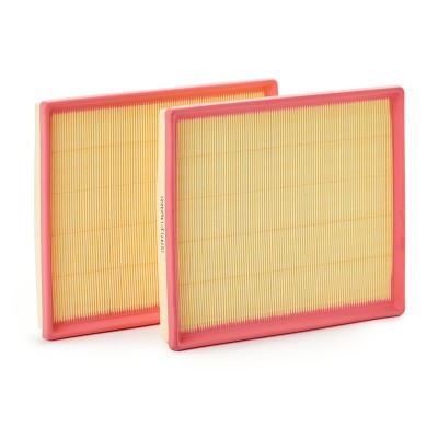 Luftfilter RIDEX 8A0624 8A0624 - foto 2