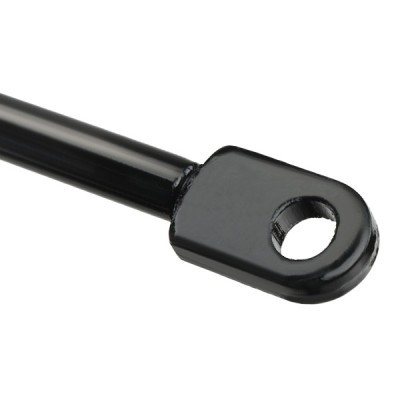 Gasfeder, Koffer-/Laderaum RIDEX 219G0984 219G0984 - foto 4