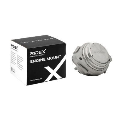 Motoraufhängung RIDEX 247E0440 247E0440 - foto 5
