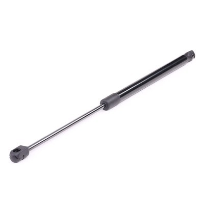 Gasfeder, Koffer-/Laderaum RIDEX 219G0429 219G0429 - foto 6
