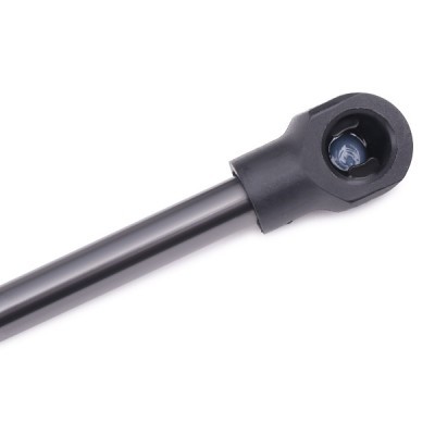 Gasfeder, Koffer-/Laderaum RIDEX 219G0463 219G0463 - foto 5