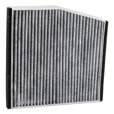 Filter, Innenraumluft RIDEX 424I0257 424I0257 - foto 5