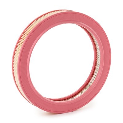 Luftfilter RIDEX 8A0683 8A0683 - foto 3