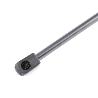 Gasfeder, Koffer-/Laderaum RIDEX 219G0643 219G0643 - foto 5