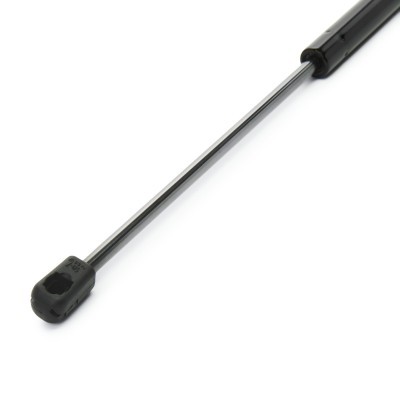 Gasfeder, Koffer-/Laderaum RIDEX 219G1289 219G1289 - foto 4