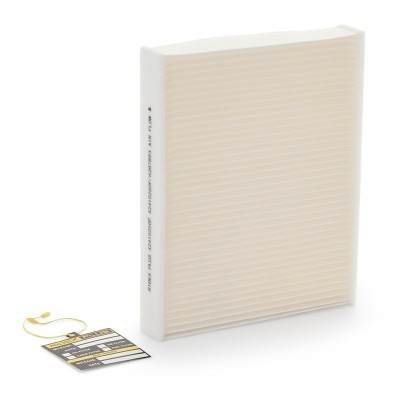 Filter, Innenraumluft RIDEX 424I0250P 424I0250P - foto 2