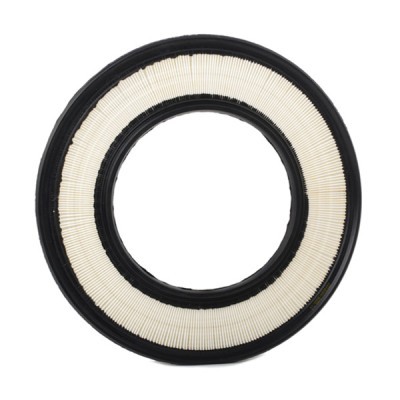 Luftfilter RIDEX 8A0498 8A0498 - foto 3