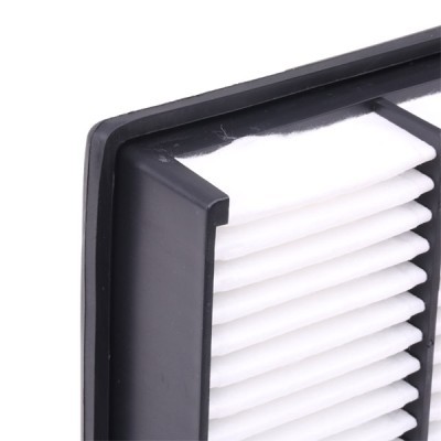 Luftfilter RIDEX 8A0142 8A0142 - foto 6
