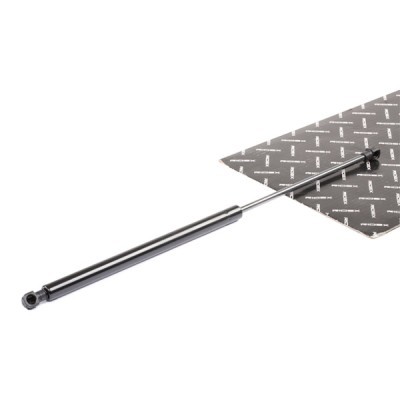 Gasfeder, Koffer-/Laderaum RIDEX 219G0327 219G0327 - foto 2