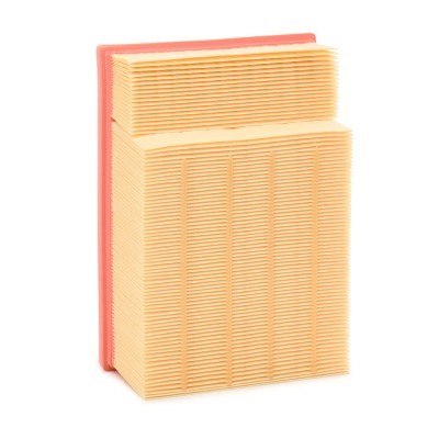 Luftfilter RIDEX 8A0673 8A0673 - foto 3
