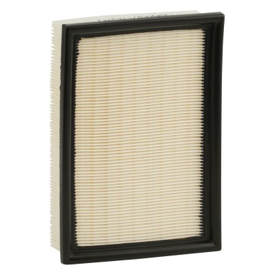 Luftfilter RIDEX 8A0078 8A0078 - foto 5