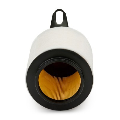 Luftfilter RIDEX 8A0145P 8A0145P - foto 4