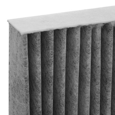 Filter, Innenraumluft RIDEX 424I0135 424I0135 - foto 5