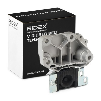 Motoraufhängung RIDEX 247E0914 247E0914 - foto 2