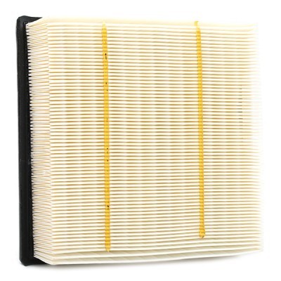 Luftfilter RIDEX 8A0381 8A0381 - foto 5