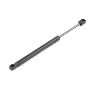 Gasfeder, Koffer-/Laderaum RIDEX 219G0895 219G0895 - foto 3