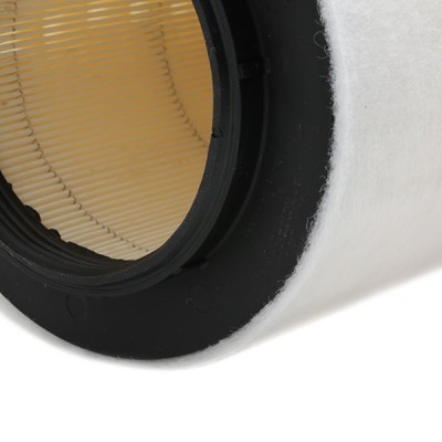 Luftfilter RIDEX 8A0145 8A0145 - foto 6