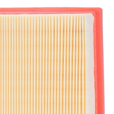 Luftfilter RIDEX 8A0450 8A0450 - foto 5