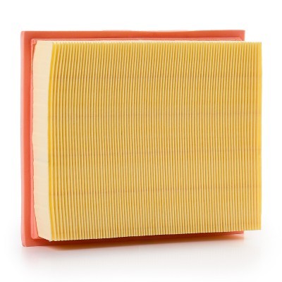 Luftfilter RIDEX 8A0018P 8A0018P - foto 4
