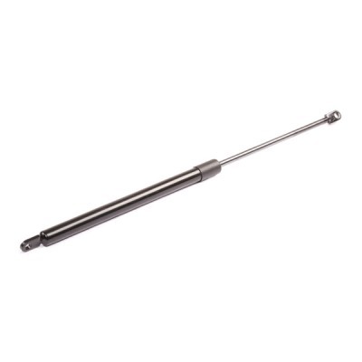 Gasfeder, Koffer-/Laderaum RIDEX 219G0385 219G0385 - foto 6