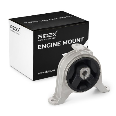 Motoraufhängung RIDEX 247E1323 247E1323 - foto 2