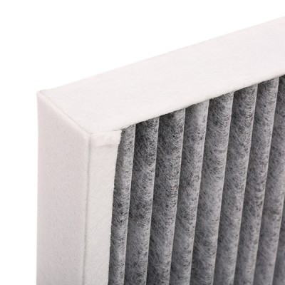 Filter, Innenraumluft RIDEX 424I0211 424I0211 - foto 6