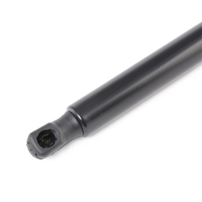 Gasfeder, Koffer-/Laderaum RIDEX 219G0643 219G0643 - foto 4