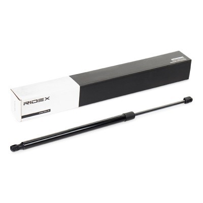 Gasfeder, Koffer-/Laderaum RIDEX 219G0153 219G0153 - foto 2