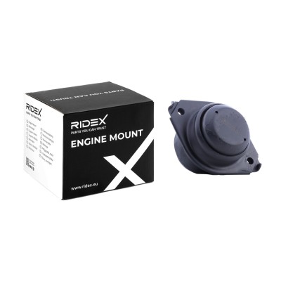 Motoraufhängung RIDEX 247E0286 247E0286 - foto 5