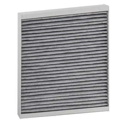 Filter, Innenraumluft RIDEX 424I0743P 424I0743P - foto 3