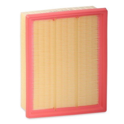 Luftfilter RIDEX 8A0369 8A0369 - foto 2